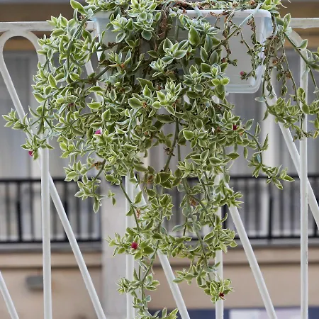 Galleria 38 Gasthof La Spezia