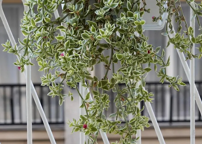 Galleria 38 Pensionat La Spezia